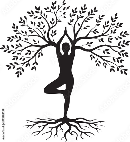 yoga tree pose silhouette