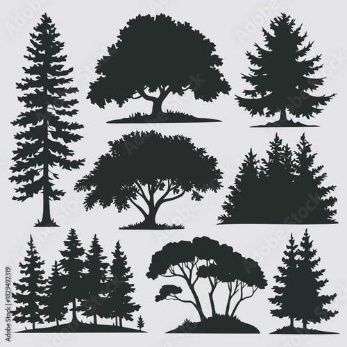 Set of nine different types of trees with black silhouette on