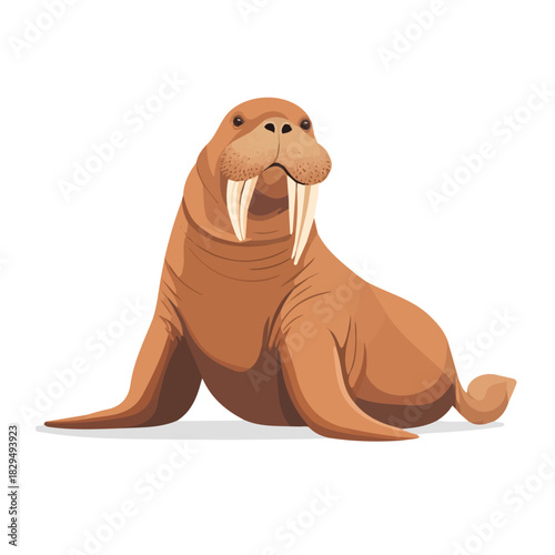 Simple flat 2D vector graphic of Walrus, modern icon look, displayed on a pure white background.