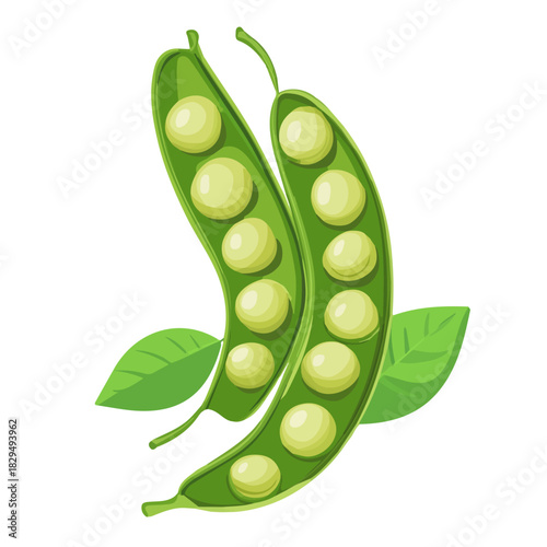 Minimal 2D vector illustration of Soybean Pod in flat icon style on a plain white background.