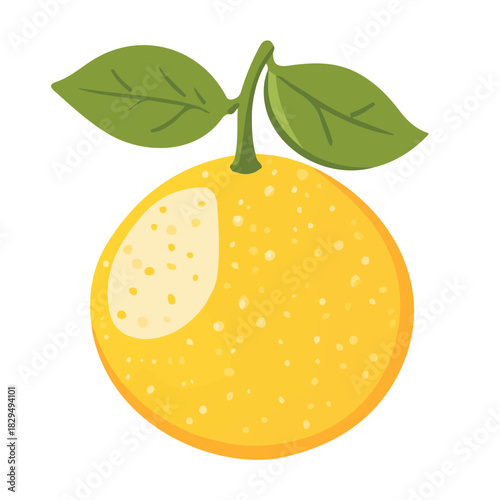 Yuzu in a clean 2D flat vector icon style, minimal and simple, set on a plain white background.