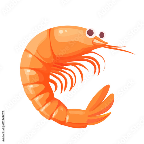 Simple flat 2D vector graphic of Shrimp, modern icon look, displayed on a pure white background.