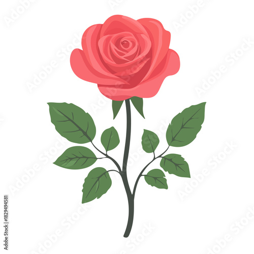 Rose, modern 2D flat vector illustration in icon style, isolated on pure white background.