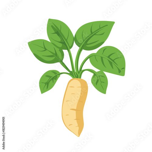 Tableau sur toile 2D flat vector illustration of Wild Yam, clean and minimal icon style, isolated on white background