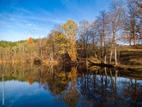 autumn nature in bohemian forest cesky les in czechia