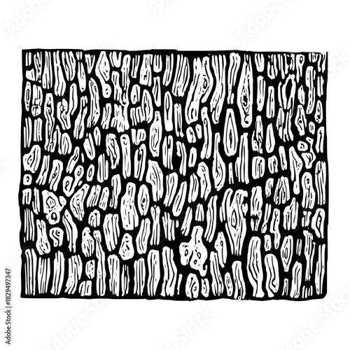 Illustration of a bark pattern isolated on hand drawn vector illustration of a tree bark texture black and white drawing of a tree bark
