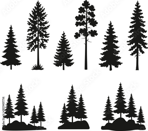 Black conifer tree silhouettes, forest shapes, pine variety, nature design, landscape elements, foliage contour, artistic illustration, evergreen diversity, terrain