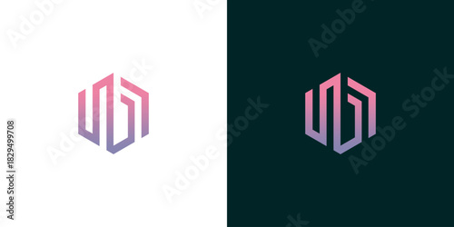 Abstract geometric hexagon logo concept featuring intertwined letter initials, created with a clean line art style and a vibrant color gradient
