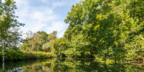 Wallpaper Mural Wunderschöne Natur im Elster-Pleiße-Auwald beim Kajak fahren auf der Pleiße in Leipzig Torontodigital.ca