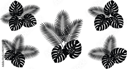 Set of black monochrome vector silhouettes of diverse tropical foliage, including palm fronds and split monstera leaves, ideal for jungle themes, exotic patterns, and summer designs, isolated.