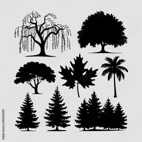 Collection of various types of trees and leaves in black and white silhouette style isolated on