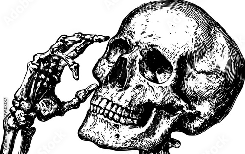 Detailed skull and skeleton art in vintage engraving style. Black and white vector illustration featuring classic themes, ideal for educational purposes.