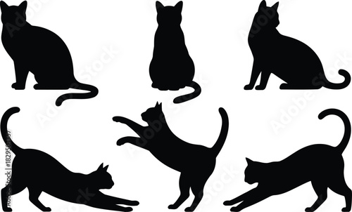 Six diverse black cat silhouettes in various elegant poses on a clean white background