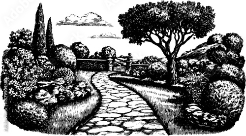 Black and white garden scene with a stone path and lush trees. Detailed vector illustration of a rural landscape set.