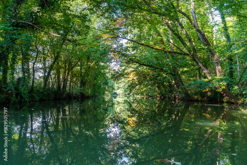 Wunderschöne Natur im Elster-Pleiße-Auwald beim Kajak fahren auf der Pleiße in Leipzig