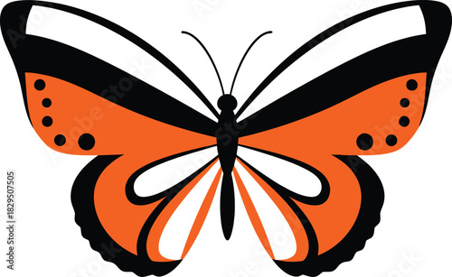 Flat design orange butterfly vector illustration
