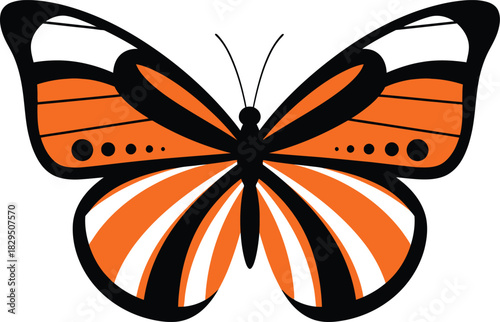 Flat design butterfly vector illustration