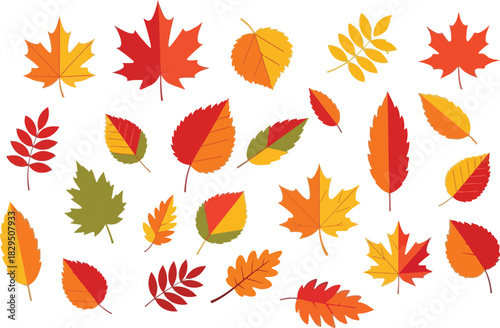 Colorful autumnal leaves different shapes and bright colors