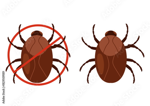 Cockroach moth mite bug roach isolated on white background. Vector flat graphic design illustration