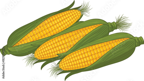 Three ears of corn flat design vector illustration