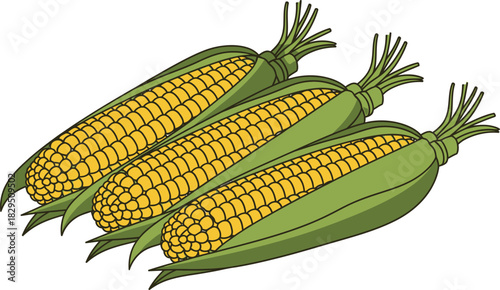 Three corn cobs flat design vector illustration
