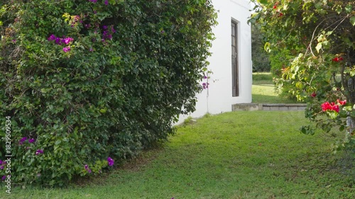 In the early morning, a garden courtyard filled with green plants and lawns
