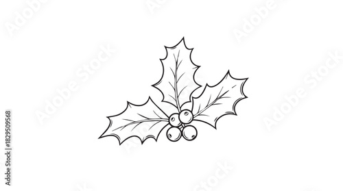 A detailed hand drawn sketch of a holly sprig with berries in a classic silhouette style for christmas and winter holiday designs silhouette