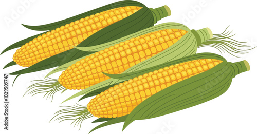 Three ears of corn flat design vector