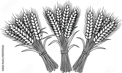 Three wheat sheaves illustration