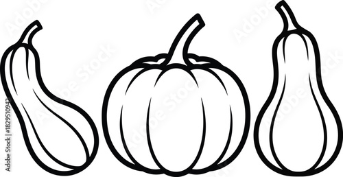 Outline icons of various gourds and pumpkin