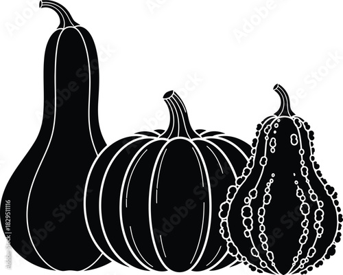 Flat design gourds and squashes collection
