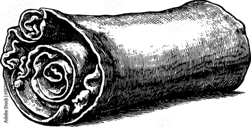 Cinnamon stick in detailed vintage sketch style. Black and white vector illustration of a rolled spice bark.