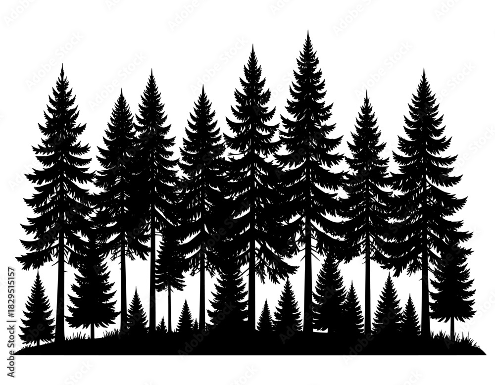 Obraz premium illustration set vector silhouette trees