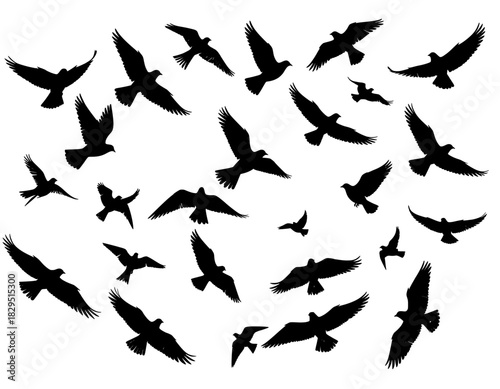 set of silhouettes of birds