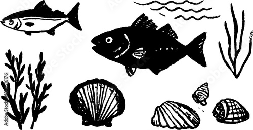 Fish silhouettes with shells and sea plants in hand-drawn style. Black vector illustration featuring aquatic life as a set.