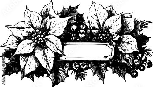 Poinsettia flower illustration in black and white. This decorative vector set features foliage and berries for festive designs.