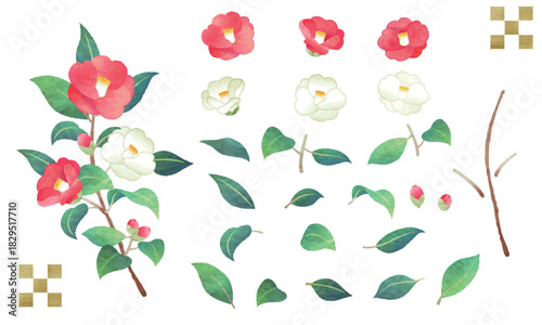手描き水彩風　赤と白の椿　パーツのイラスト素材