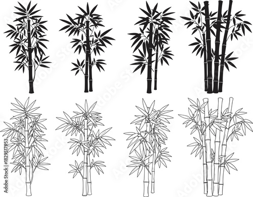 Collection of bamboo plant illustrations featuring detailed leaves and stems in silhouette and outline style for nature design projects and decoration