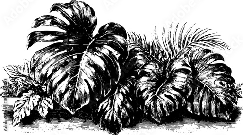 Vintage plant illustration with detailed black outline and stipple effects. This hand-drawn vector set is suitable as a decorative botanical element.