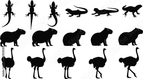 Silhouette collection of various wild animals including lizard, capybara, and ostrich in multiple poses for wildlife illustration, design, and educational projects