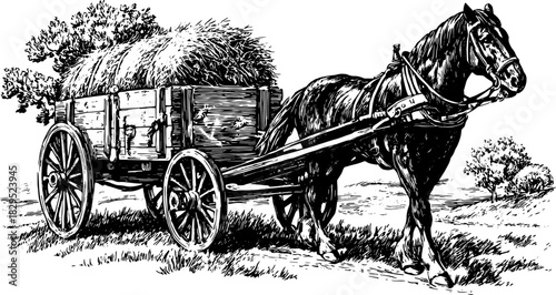 Vintage horse and cart illustration in black and white. Detailed line drawing set against a rural landscape, showcasing agriculture in vector art.