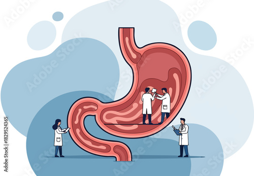 Illustration of Doctors Examining Human Stomach Anatomy in Medical Setting.