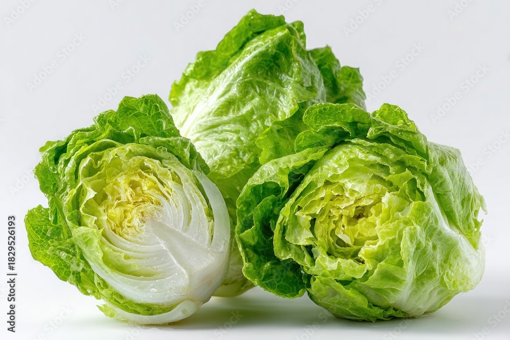 Fototapeta premium Organic Green Lettuce Isolated on White Background for Food Presentation