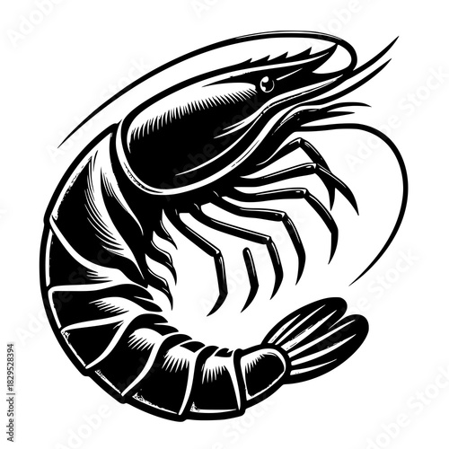 vector illustration of a fish