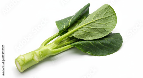Fresh raw chinese broccoli or gai lan vegetable isolated on white background for healthy eating concept