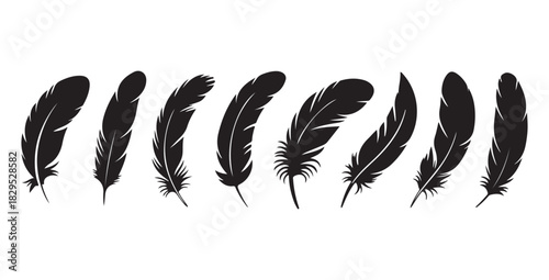 Set of various black bird feathers silhouettes