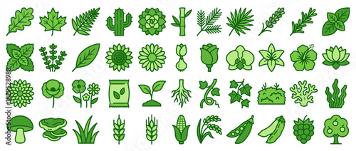 Nature and botany solid icon set. containing leaf, cactus, flower, plant, tree, herb, seed, root, mushroom, corn and more. Vector collection