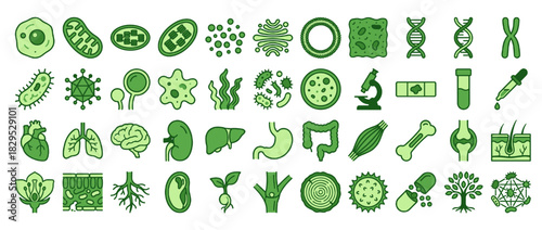 Biology and anatomy solid icon set. containing cell, dna, bacteria, organs, chromosome, liver, bones, microscope and more. Vector collection