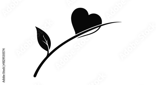 Delicate heart-shaped leaf on a slender branch, symbolizing growth and new beginnings.