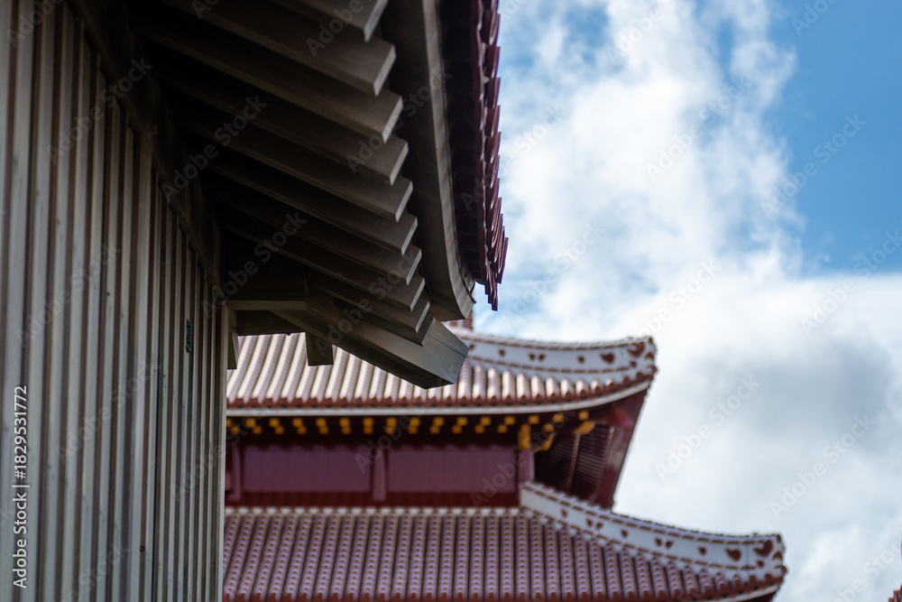 Obraz premium roof of the temple